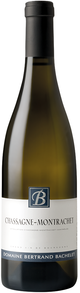 Domaine Bertrand Bachelet Chassagne Montrachet blanc 2022